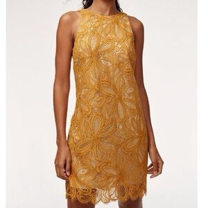 Aritzia Babaton Henry Lace  Dress